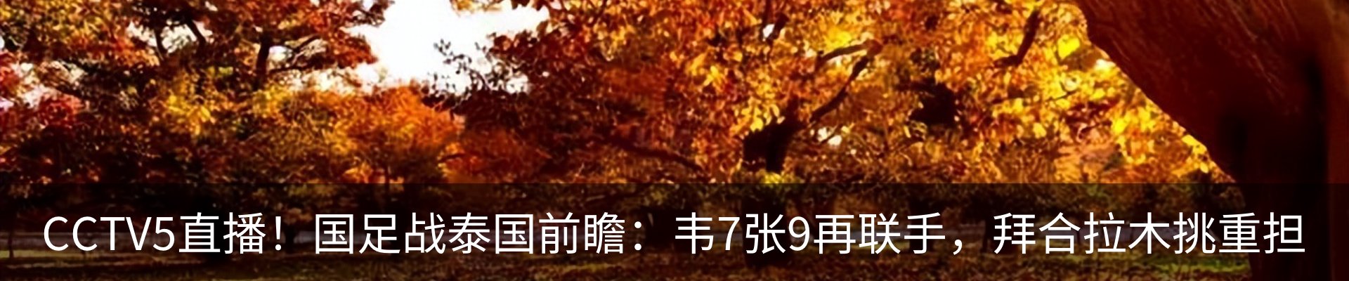 新闻动态